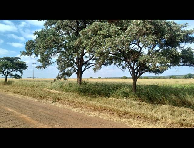 131.90HA FARM FOR SALE IN WATERVAL S H